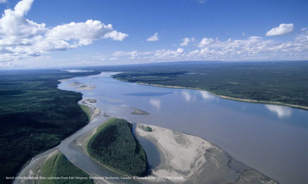 MackenzieRiverUpstream AardRock